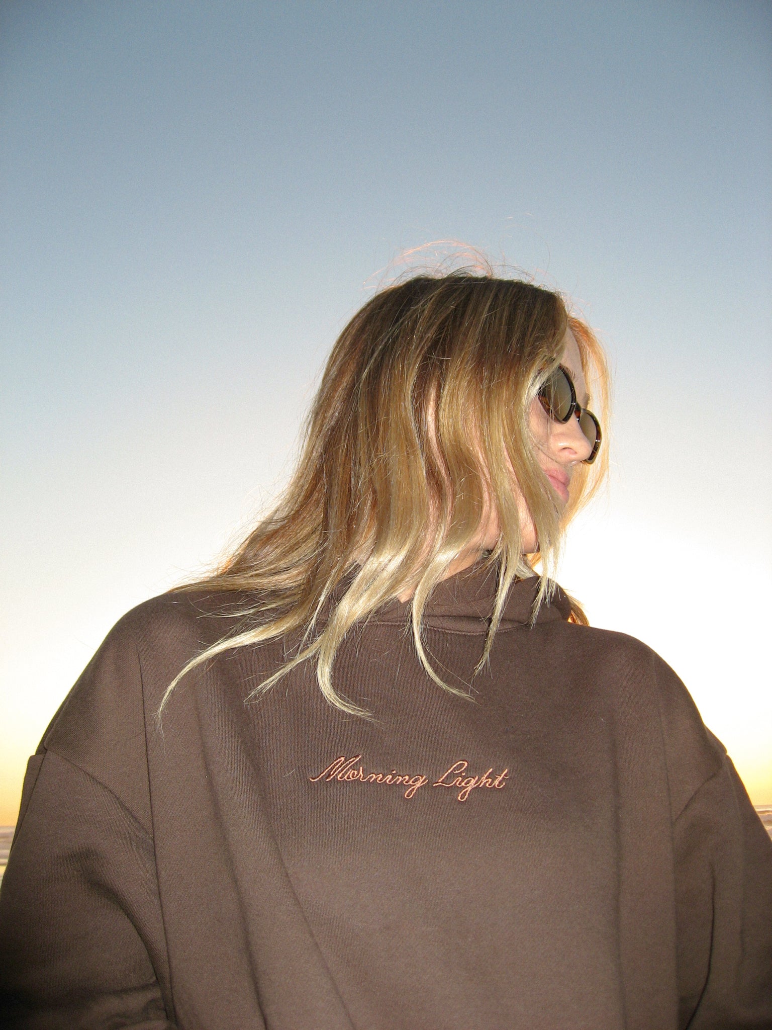 Morning Light Brown Retro Hoodie